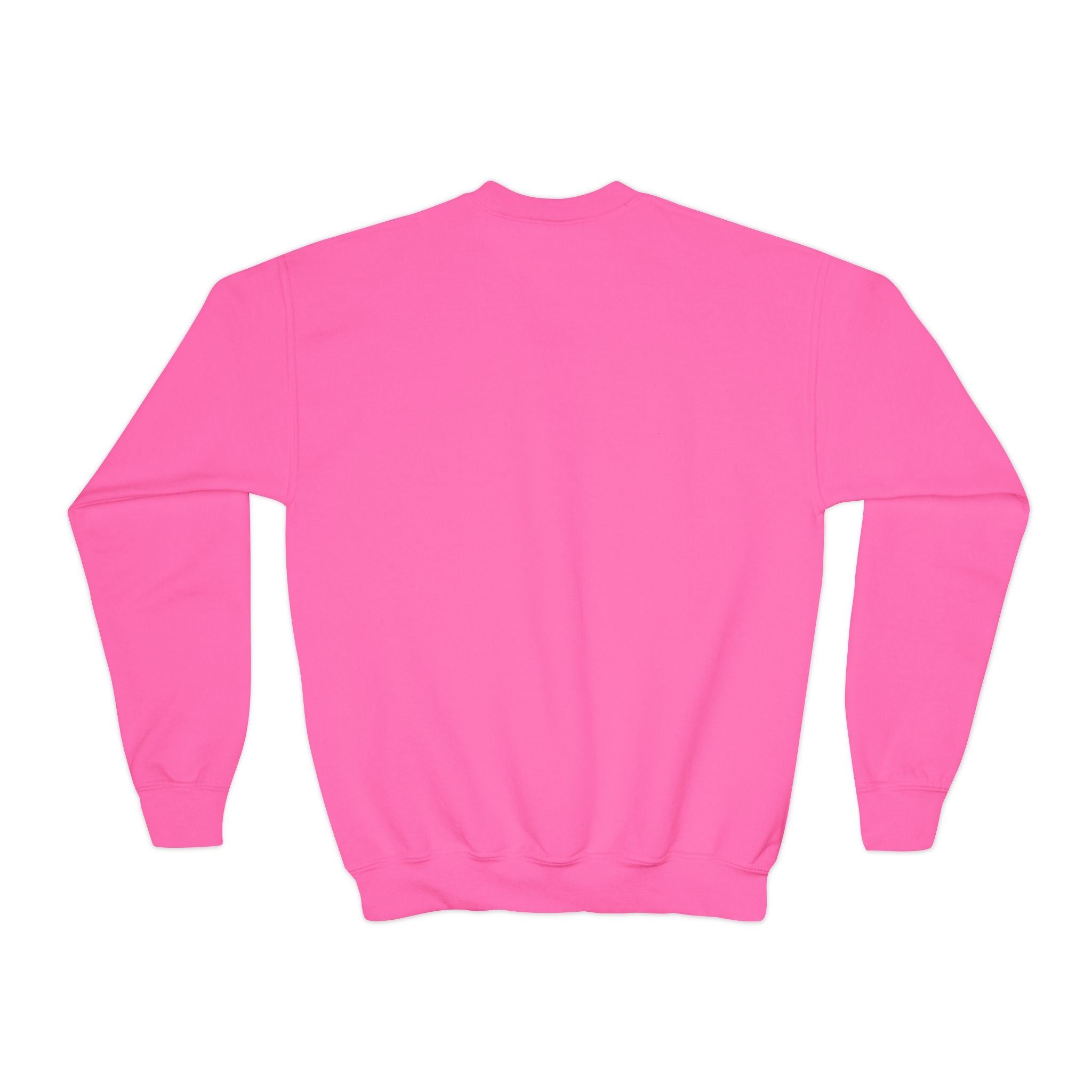 Fourth Grade Nailed It! Youth Crewneck Sweatshirt
