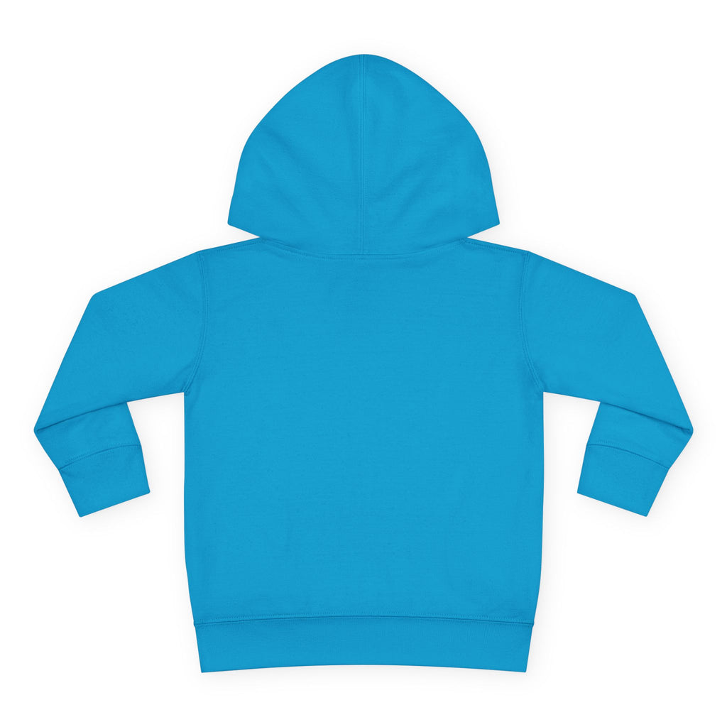 Officially a First Grader Toddler Hoodie — Back to School Pullover