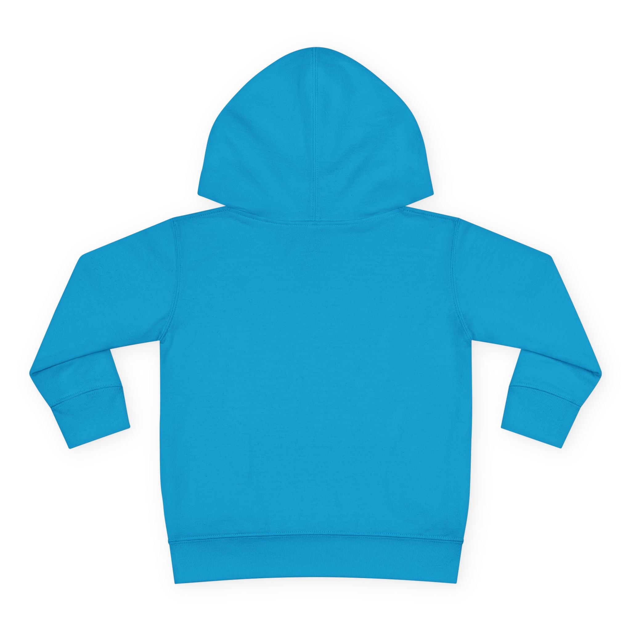 Officially a First Grader Toddler Hoodie — Back to School Pullover