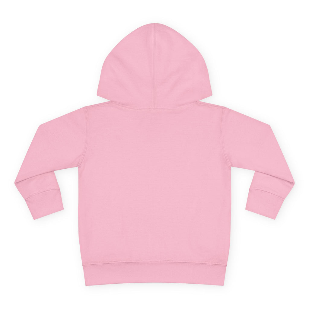 Officially a First Grader Toddler Hoodie — Back to School Pullover