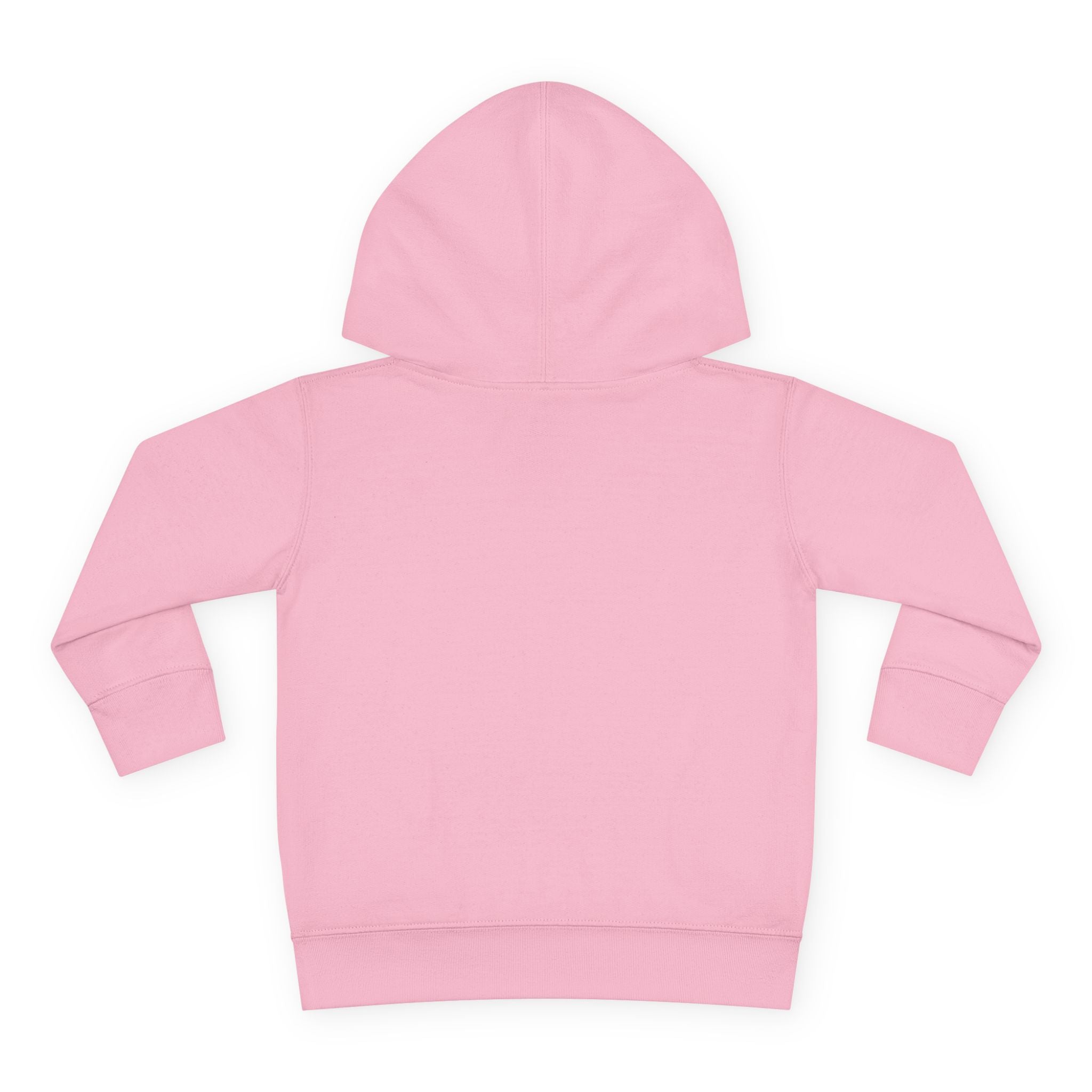 Officially a First Grader Toddler Hoodie — Back to School Pullover