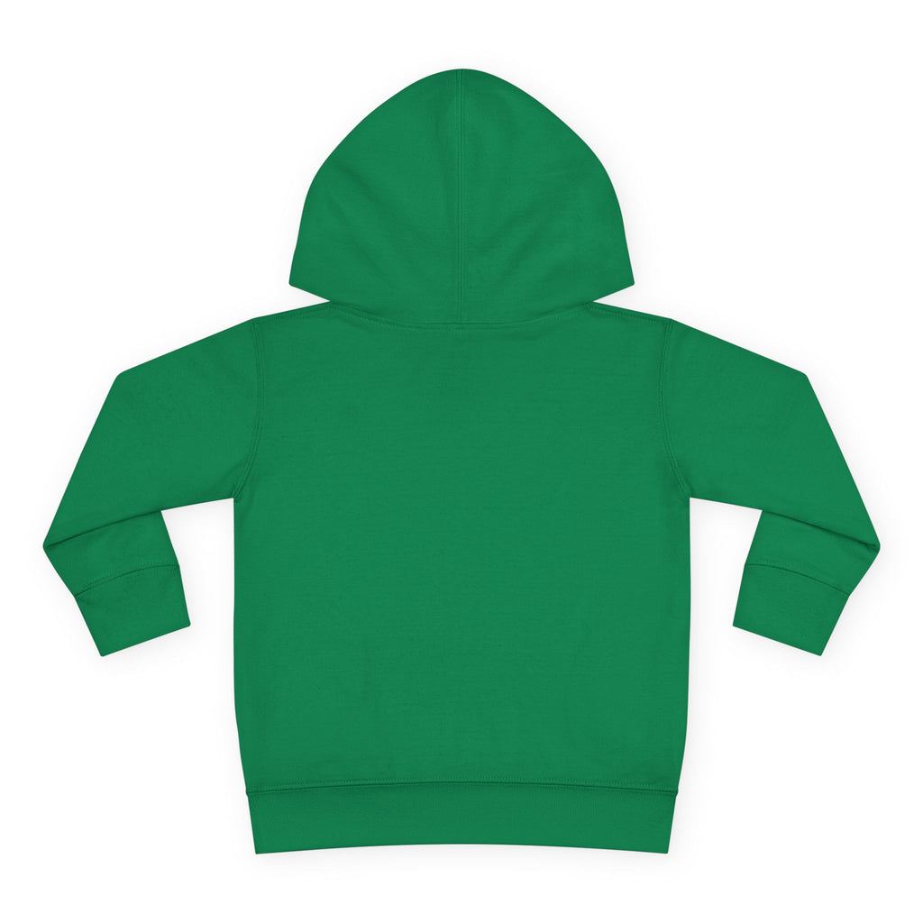 Officially a First Grader Toddler Hoodie — Back to School Pullover