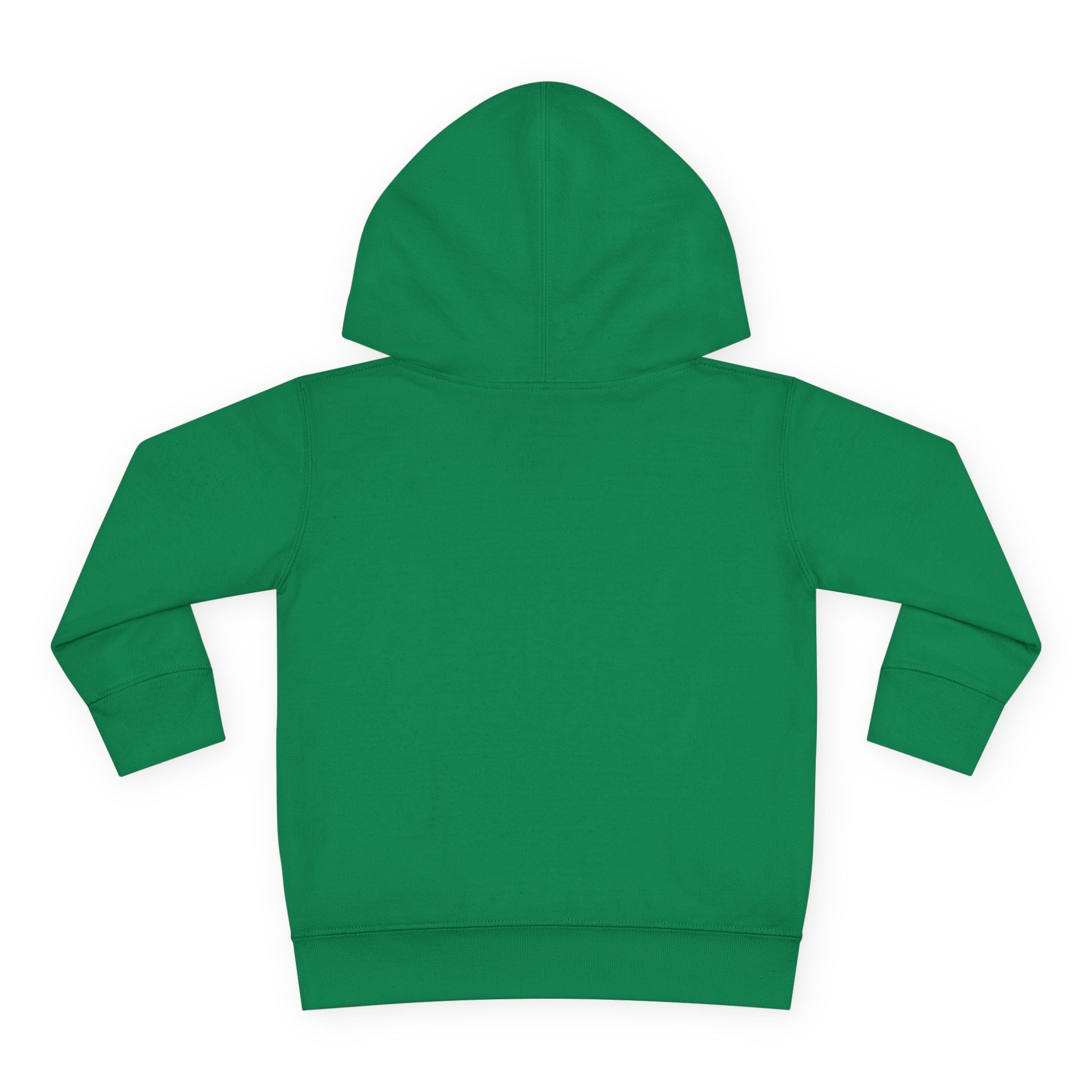Officially a First Grader Toddler Hoodie — Back to School Pullover