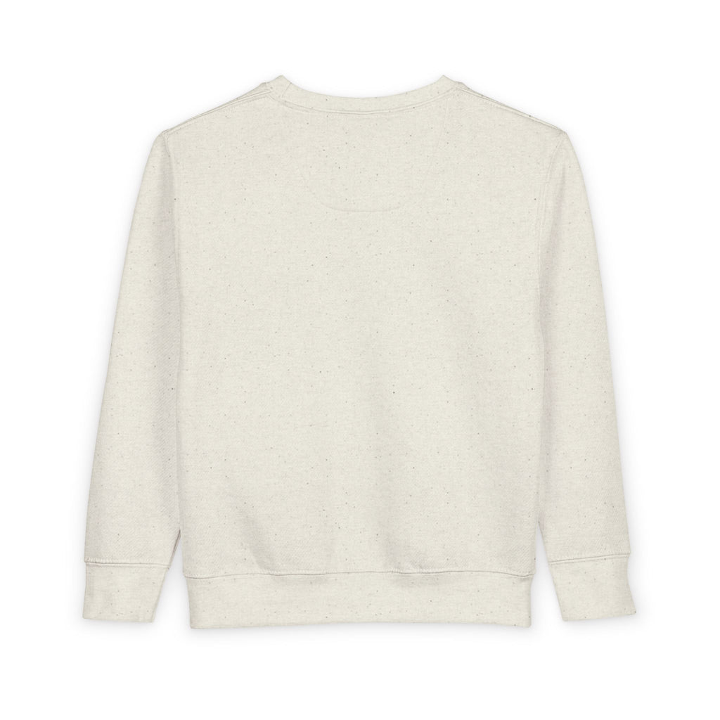 1st Grade Toddler Sweatshirt — Colorful Back-to-School Crewneck for Kids