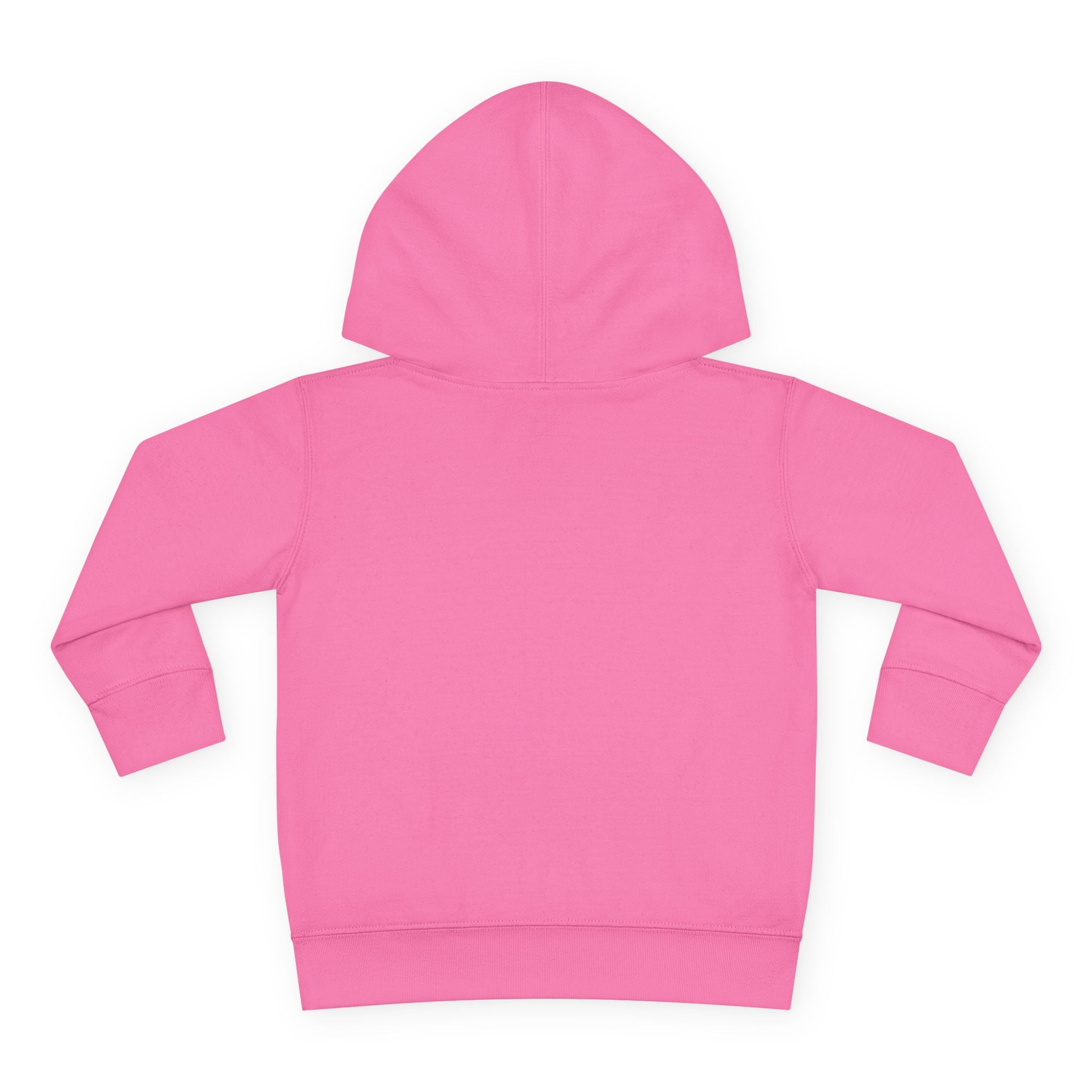 Officially a First Grader Toddler Hoodie — Back to School Pullover