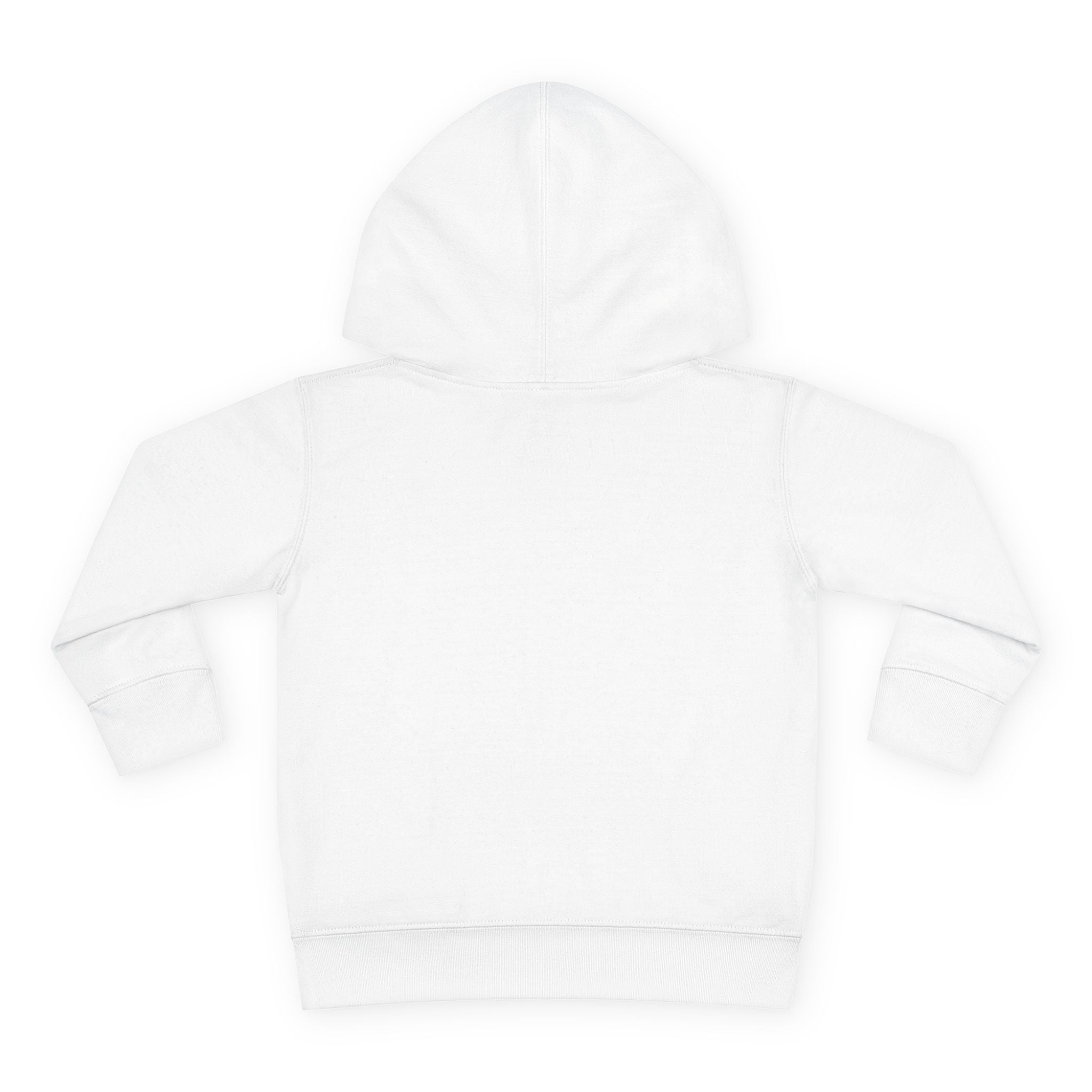 Officially a First Grader Toddler Hoodie — Back to School Pullover